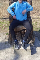 Photos Lulin