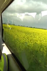 Фотография пользователя ortelladocarmelo74
