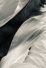 Zdjęcie użytkownika FunnyMan69