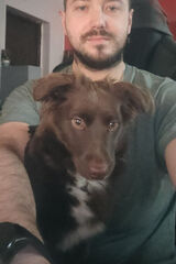 Foto utilizatorului Darius34