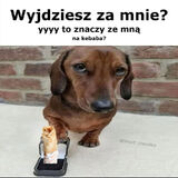 Fotka uživatele KacperRECAK