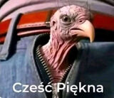Fotka uživatele lewkorobert22