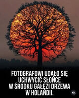Benutzerfoto artibarca13