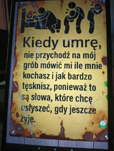 Zdjęcie użytkownika DaMianDaMian16