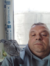 Foto utilizatorului alexeirezanu58