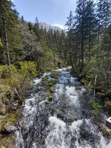 Benutzerfoto AnnW9
