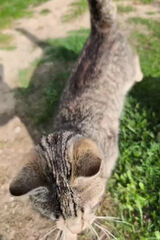 Fotka uživatele krawczykrafal23