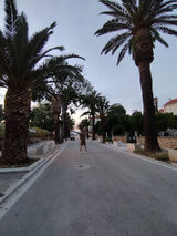 Benutzerfoto Samol92
