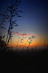 Фотография пользователя alienslough