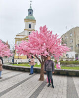 Fotos agnieszkadrobny