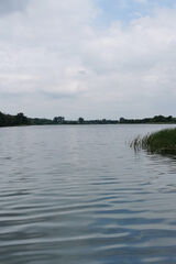 Fotos Dawid3333