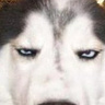 DiamondGhost