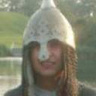 ARAEL13