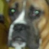 OGRITO