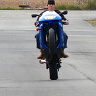 mistrz81