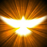 YourLight88