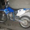 witek2006