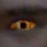 mocin