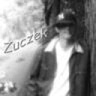 Zucus