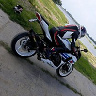struna228