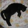 beti0072