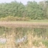 michalzastawek