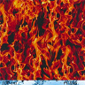Spectrum25