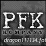 dragon111134