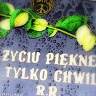 zolwik9191