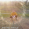 dida1982
