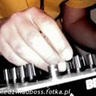 Niedzwiadboss
