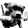 kordiaNS150