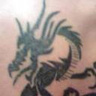 ascided1