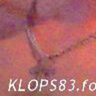 KLOPS83