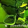 zlowekolek666