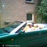 DRIVER600