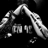 XAnimalsX