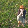 LostInTheJungle