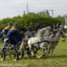 konikihaha