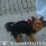 Krzysiek199215