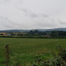 marekky