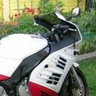Bujak91