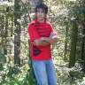 Robertoo80