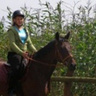 kratka2911