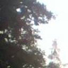 Wowerek15