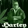 o0harley0o