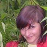 gwiazdkanula