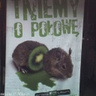 szerszeniek777