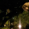 Ravie