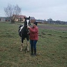 Tynka90